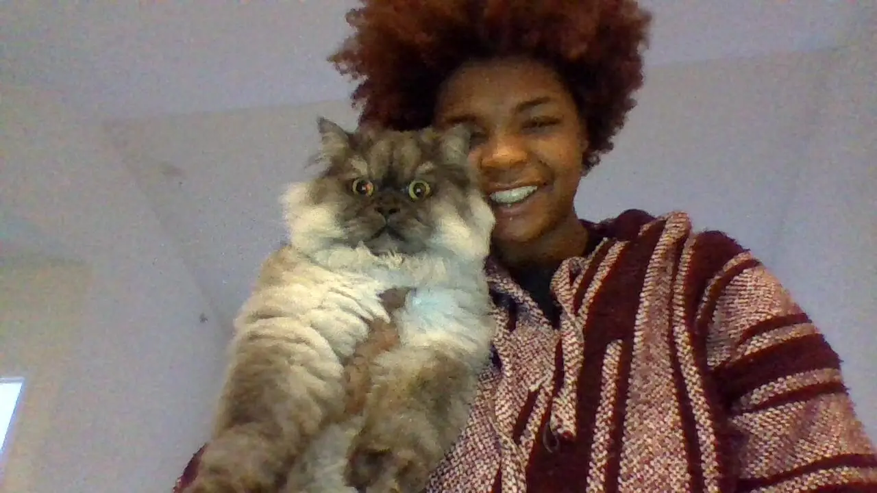 Amari holding a fluffy Persian cat with a grumpy expression during a cat sitting visit