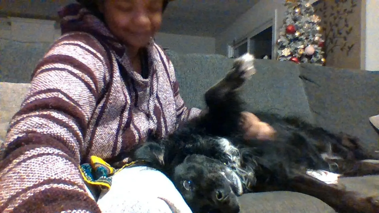 Amari gently caring for a senior black dog recovering on the couch at Christmas
